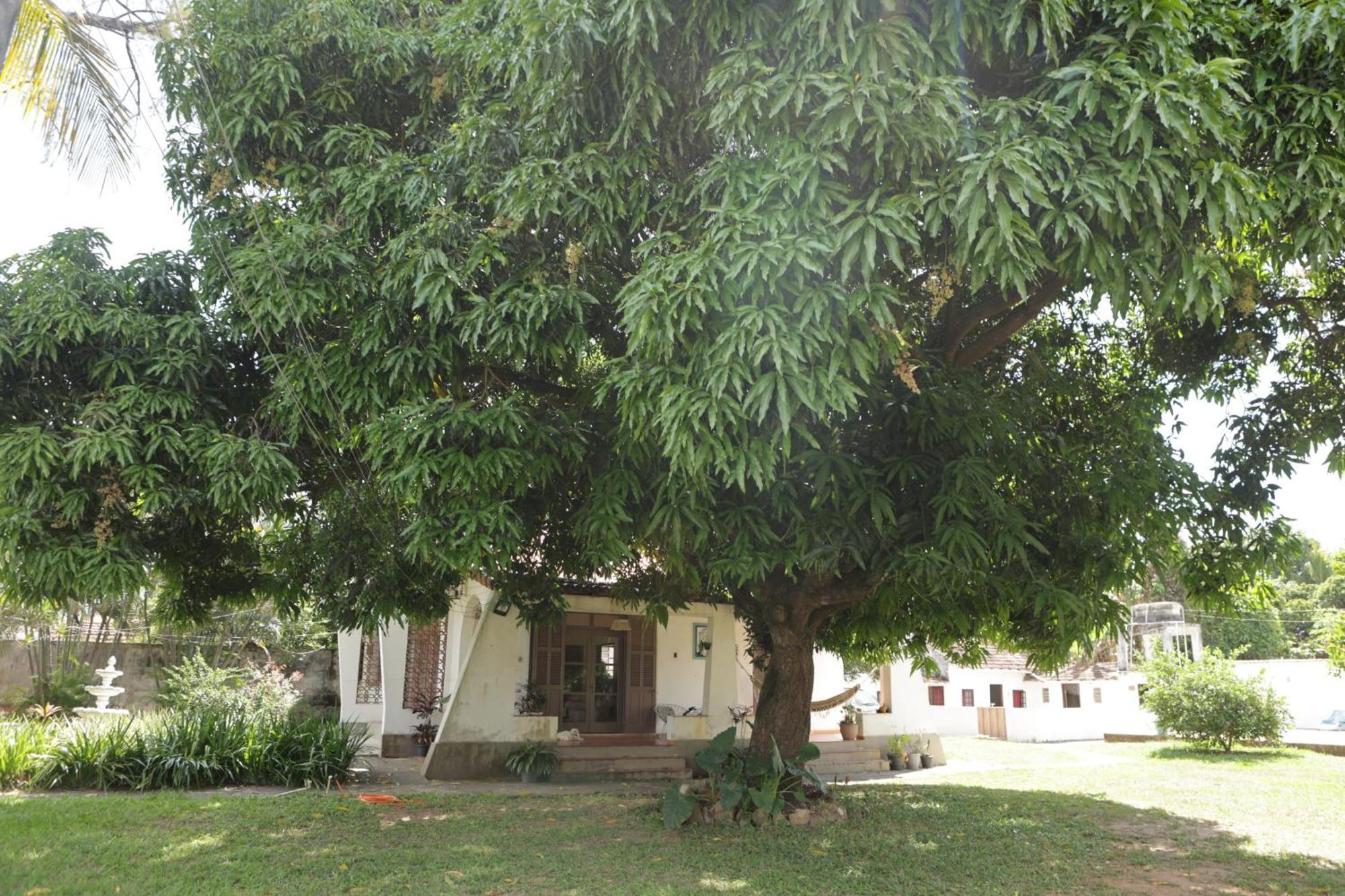 Casa Estilo Colonial